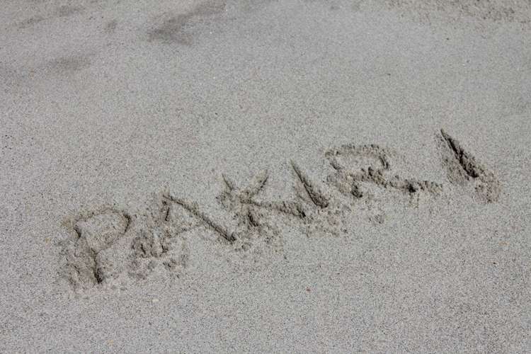 1001 Pakiri Road Pakiri_11