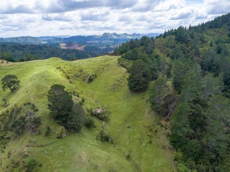 939 Kaiwhata Road Te Wharau_2