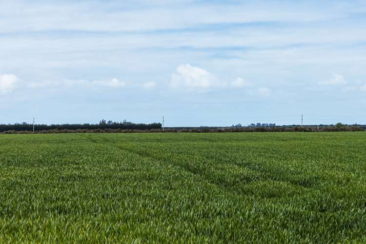 Stranges Road Ashburton_6