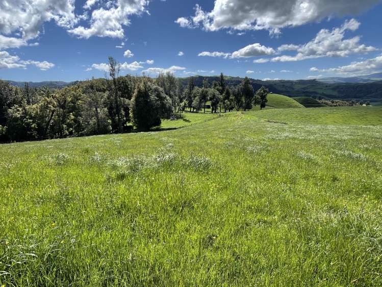 104 Tapuae Road Honikiwi_11