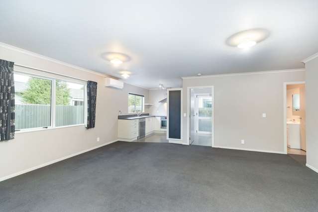 6C Pokaka Street Birchville_1