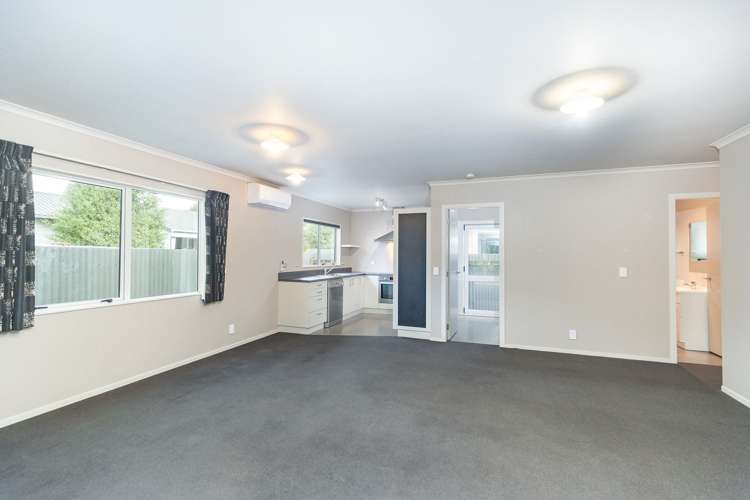 6C Pokaka Street Birchville_1