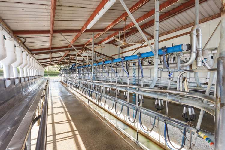 72 and 82 Harding Road Matamata_6