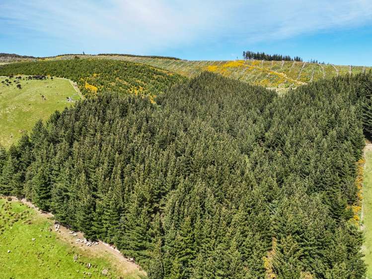 242 Caroline Valley Road Caroline_9