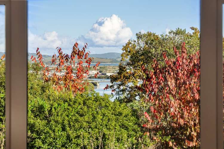 15 Punga Grove Avenue Riverside_7