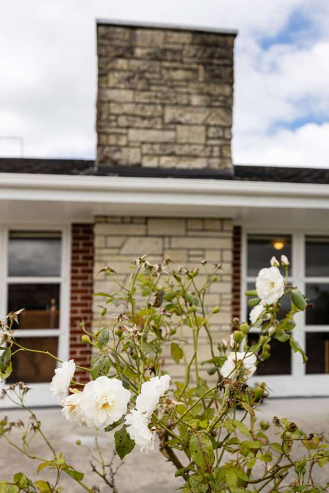 217 Elizabeth Avenue Te Awamutu_3