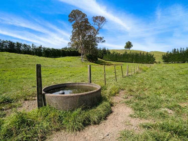 449 Crawford Road Te Puna_11