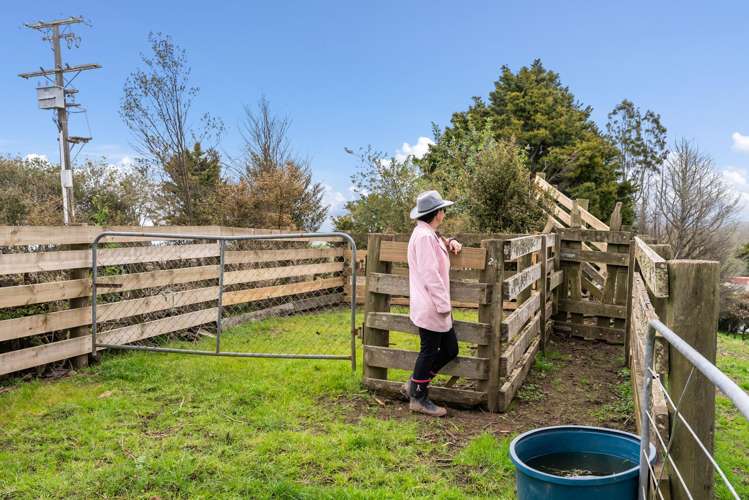136 Knight Road Ruatangata West_23