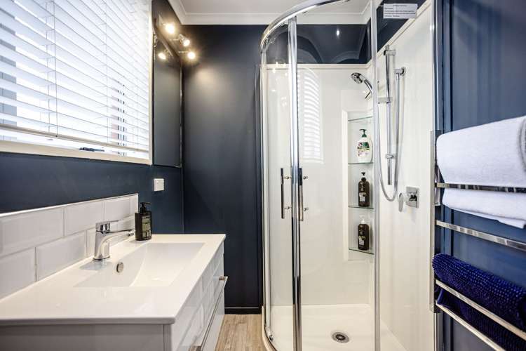6A Hereford Street Roslyn_17
