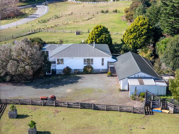 116 Chamberlain Road Massey_0