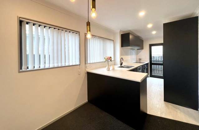 19A Statesman Street Henderson_1