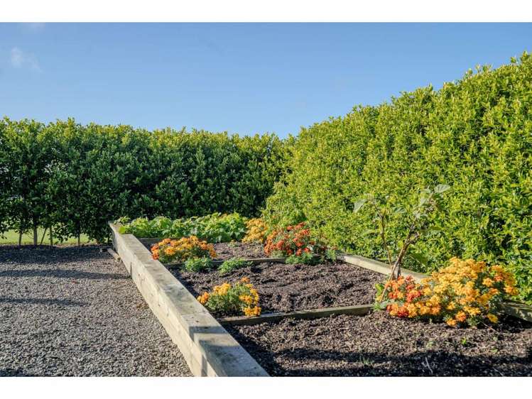 120B Sandys Road Kerikeri_31
