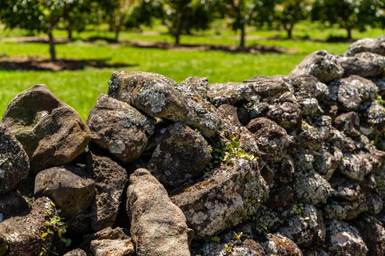 146 Bint Road Maungakaramea_10