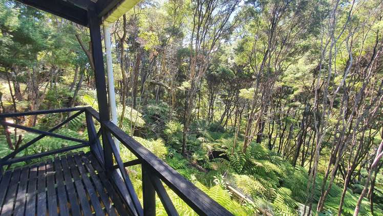 48 Schoolhouse Bay Road Kawau Island_16