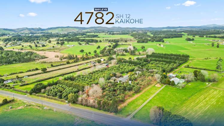 4784 State Highway 12 Kaikohe_37