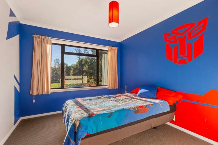 370 State Highway 57 Levin_8