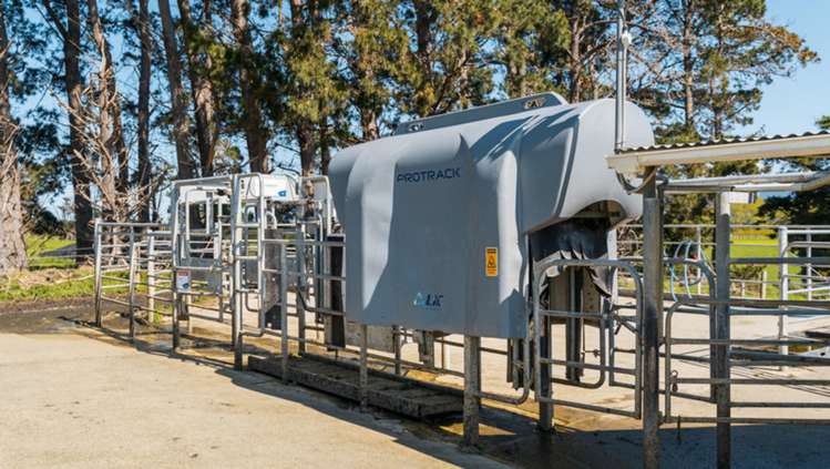 1972 Lake Ferry Road Pirinoa_7