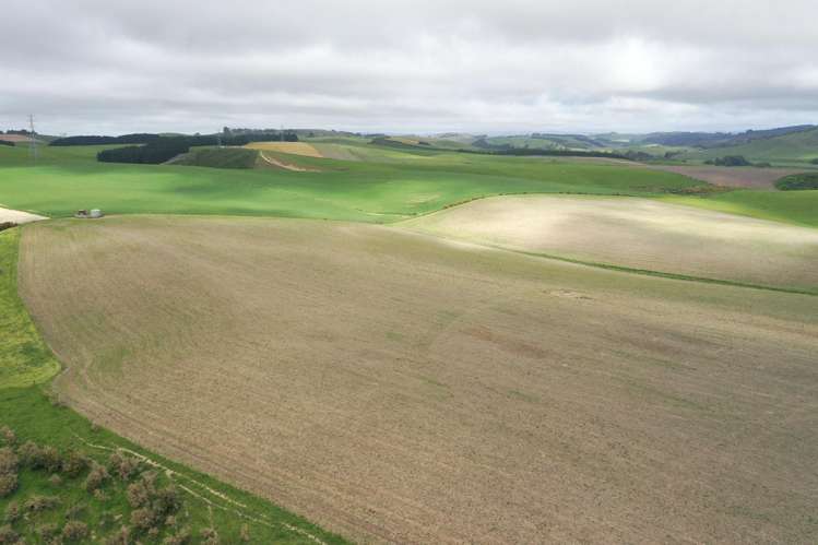 1159 Winchester Hanging Rock Road Kakahu_17