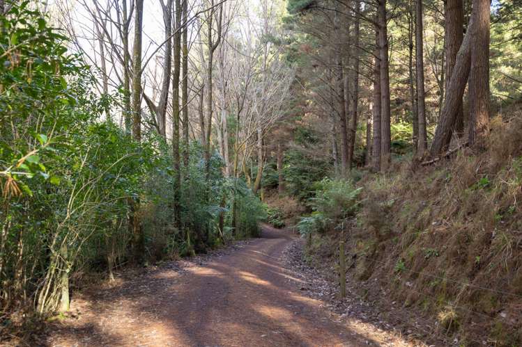 No 1 Line Pohangina_12