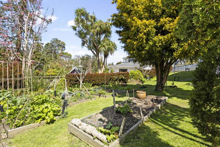 11/16 Willerton Avenue_0