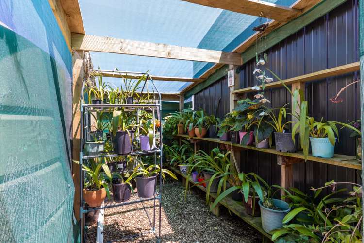 523 Ngatimaru Road Tikorangi_19