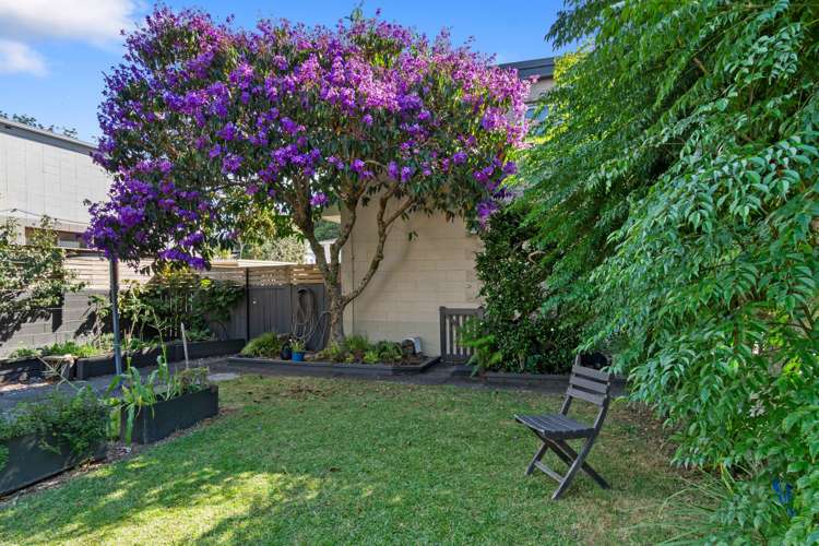 43C Woodward Road Mount Albert_18