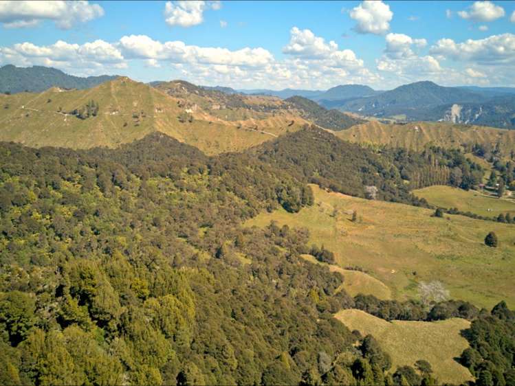 637 Makakahi Road Ruatiti_14