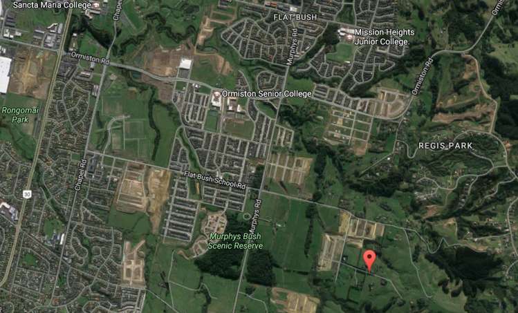 16 Carrygawley Road Flat Bush_1