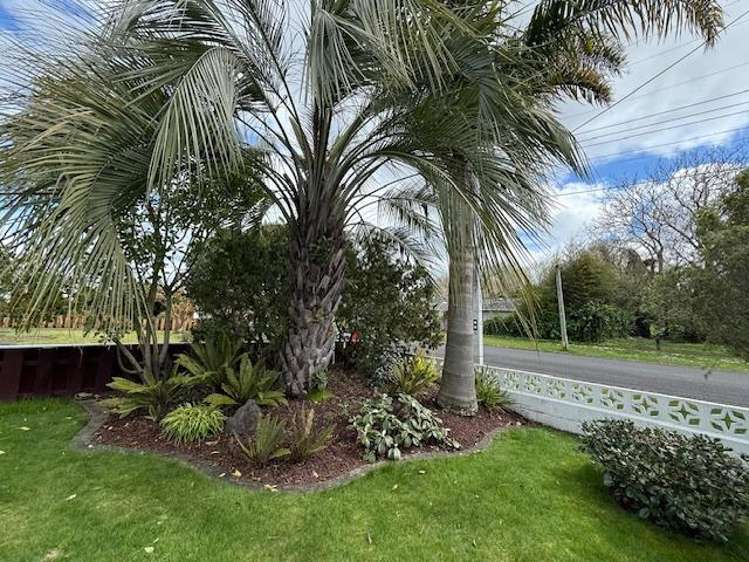 96 Fitzroy Avenue Fitzroy_20