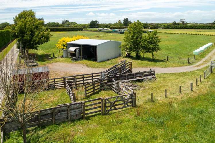 202 Kairau Road East Waitara_11