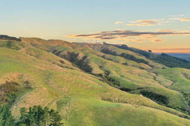 68a Greens Road Linton_4