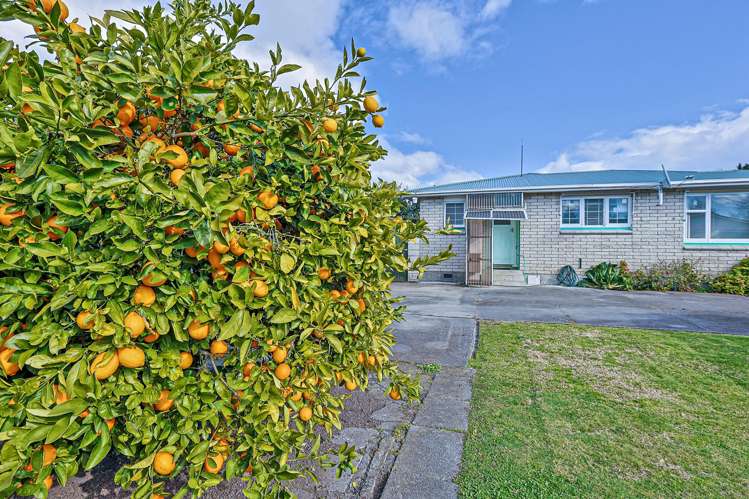 23 Upham Street Havelock North_16