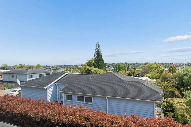 171C Cook Street Howick_10