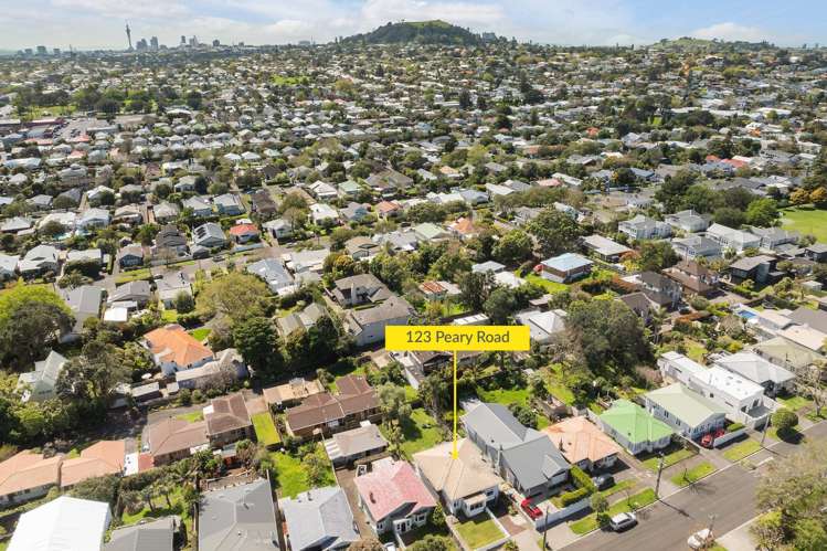 123 Peary Road Mount Eden_17