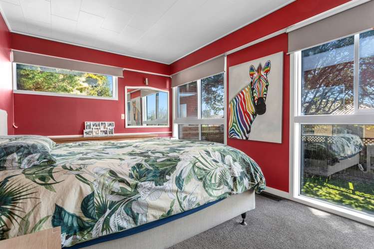 131 College Road Edgecumbe_16