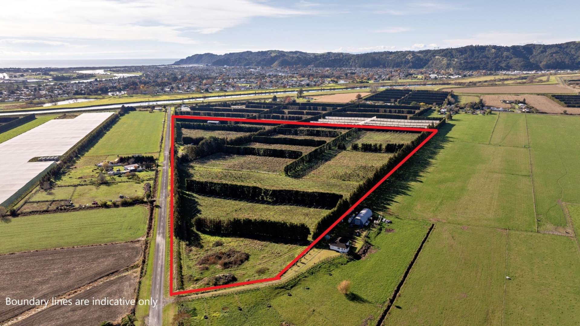 37 Selwyn Road Whakatane Surrounds_0