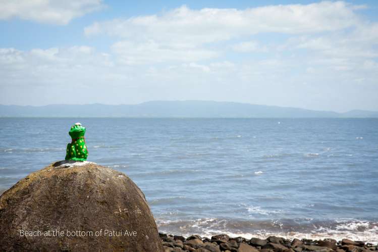 7 Patui Avenue Ngarimu Bay_9