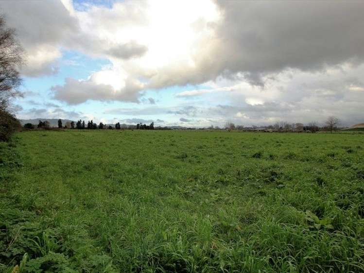 102 Laurent Road Cambridge_5