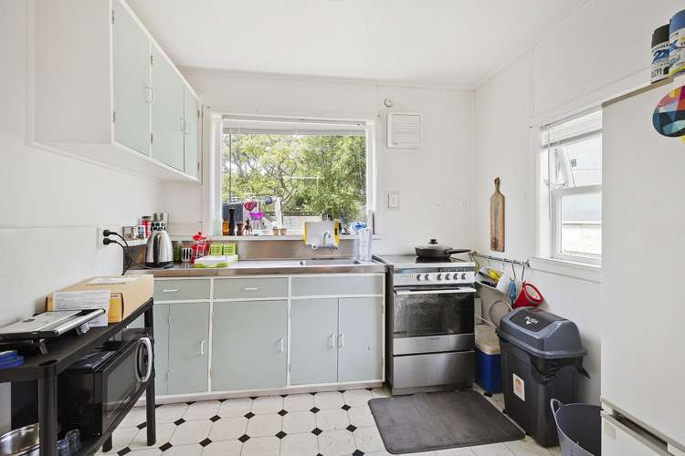 103 Coromandel Street Newtown_15