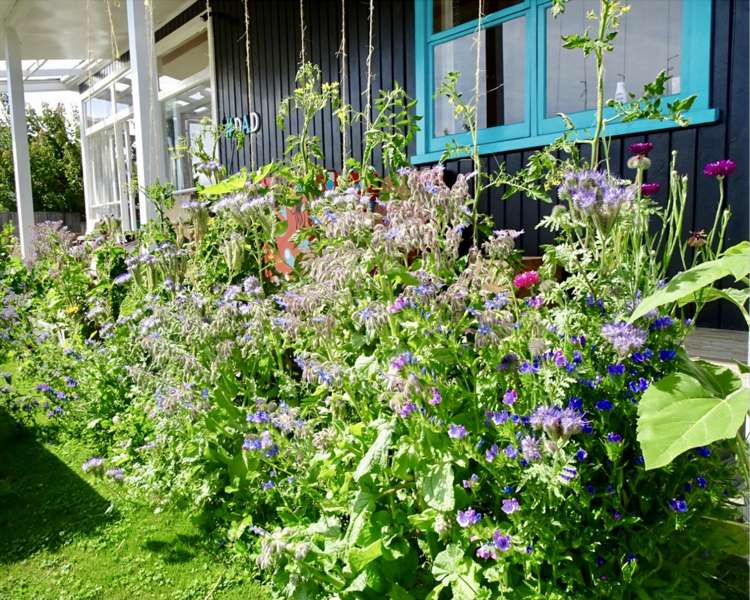 69a Beech Street Wanaka_32