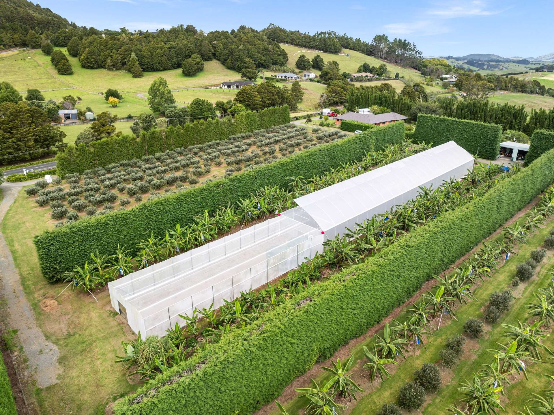 68 Snooks Road Maungatapere_0