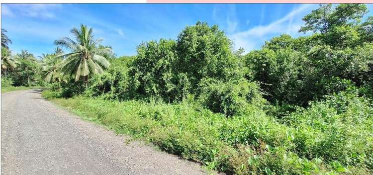 Lots 1,2,6 2, Navorau Estate Savusavu_4
