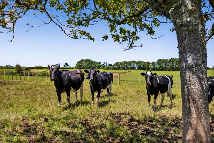 198 Beaconsfield Road Midhirst_7