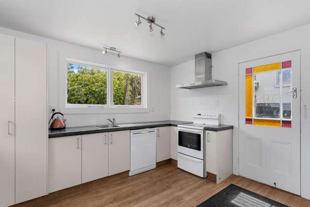 45 Burlington Street Sydenham_2