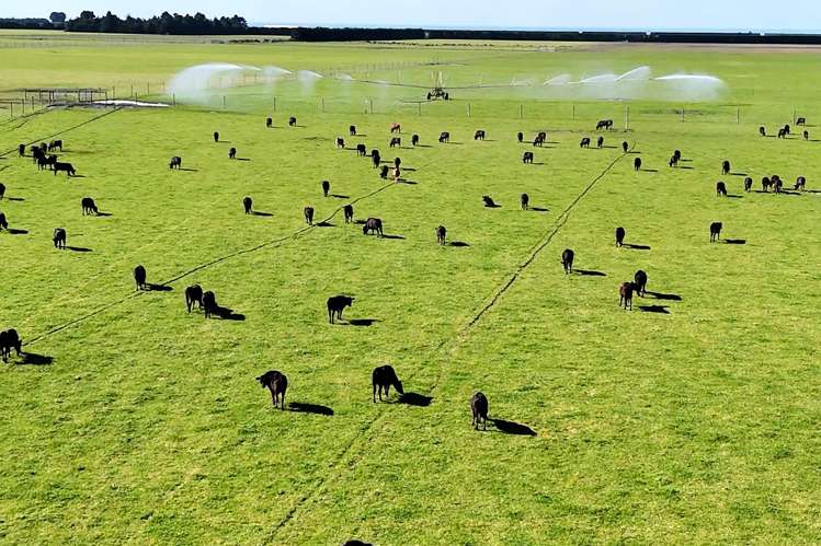 439 Dawsons Road Ashburton_11