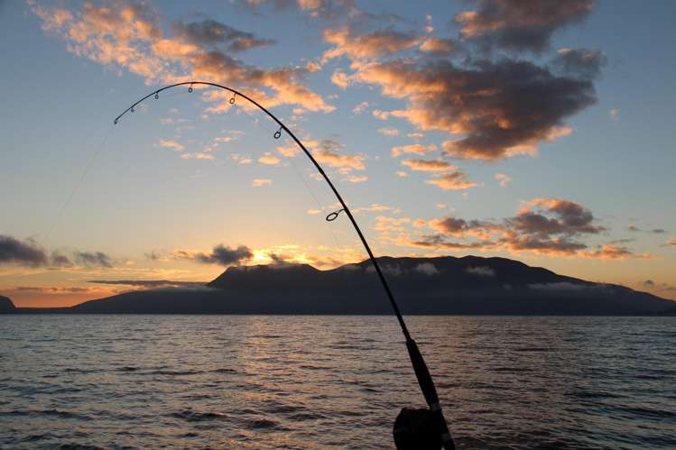 483 Spencer Road Lake Tarawera_47