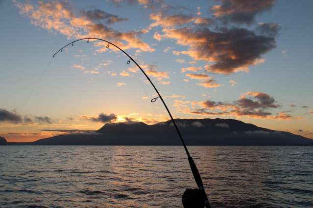 Catch That Rainbow
