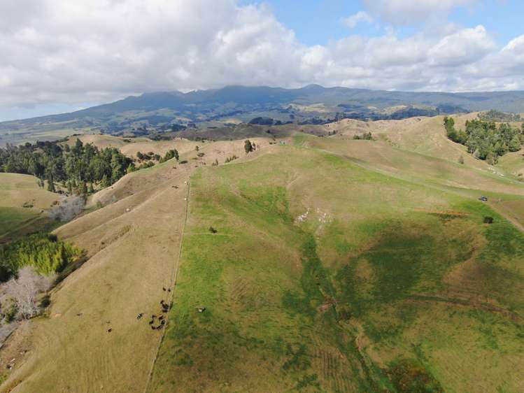 1026 Limeworks Loop Road Karamu_12