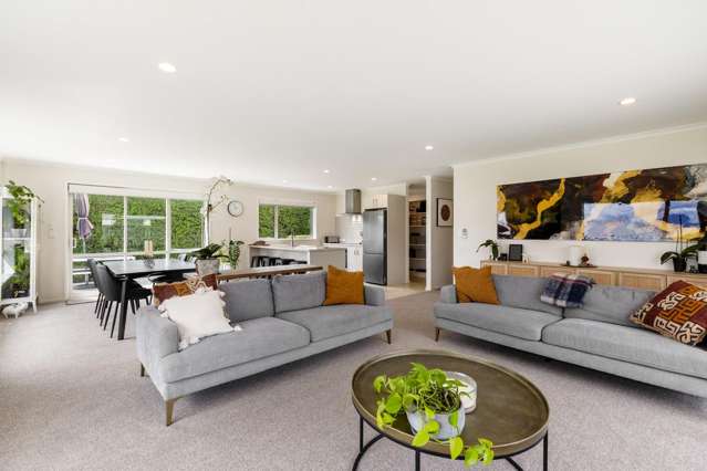 134 Turnbull Drive Witherlea_2