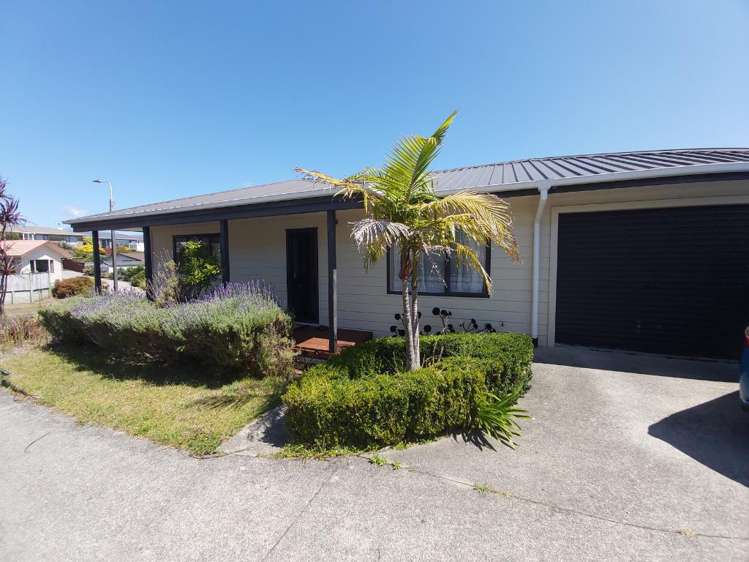 81 Oranga Street Westown_13